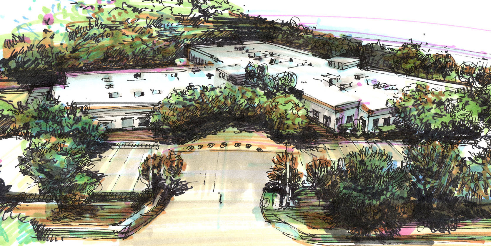 BSF - New Global Location - New Campus Cropped LR.jpg