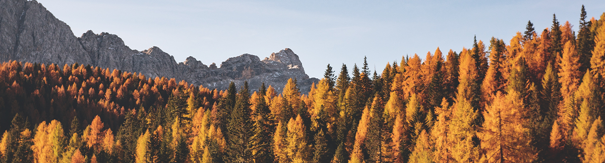 Unexpected Unity in Disagreement 