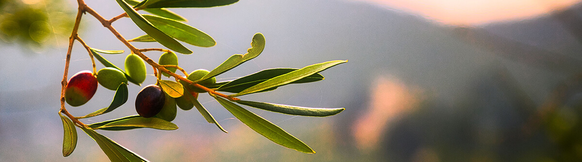 Being Available to Christ