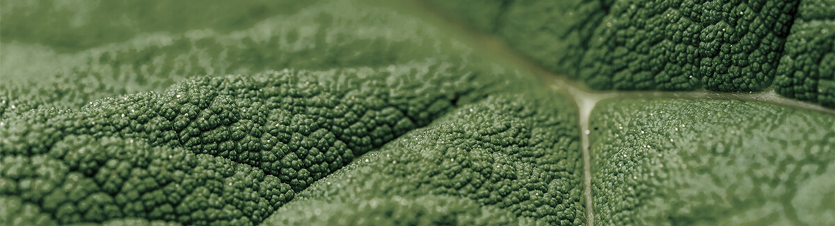 Moving Beyond I'm Sorry