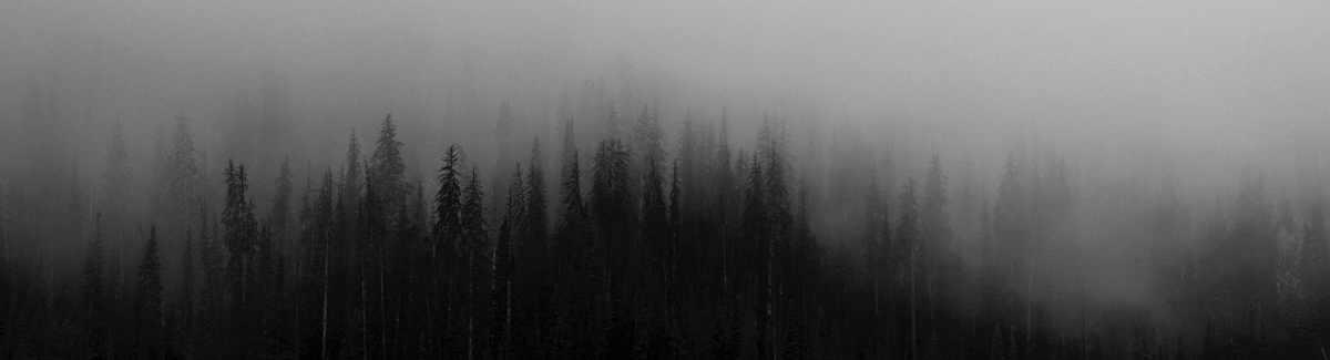 New Life on Death Row