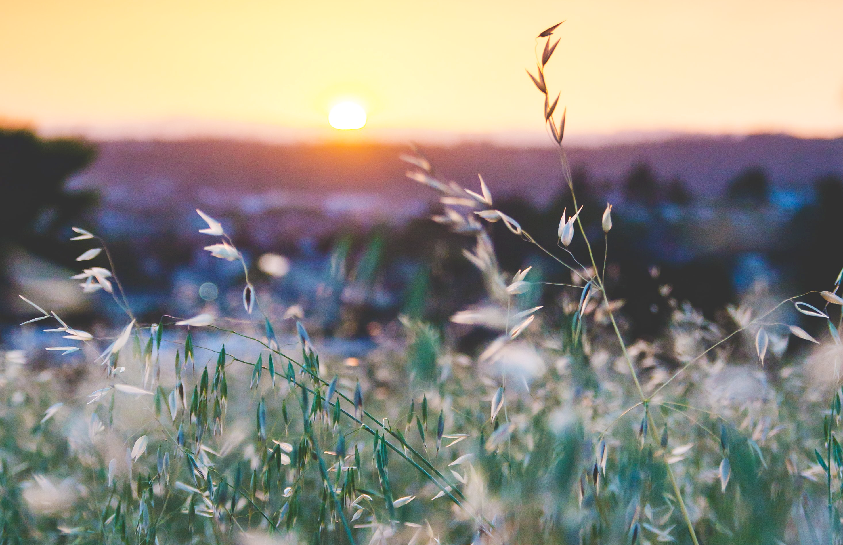 Redeeming Failed Expectations