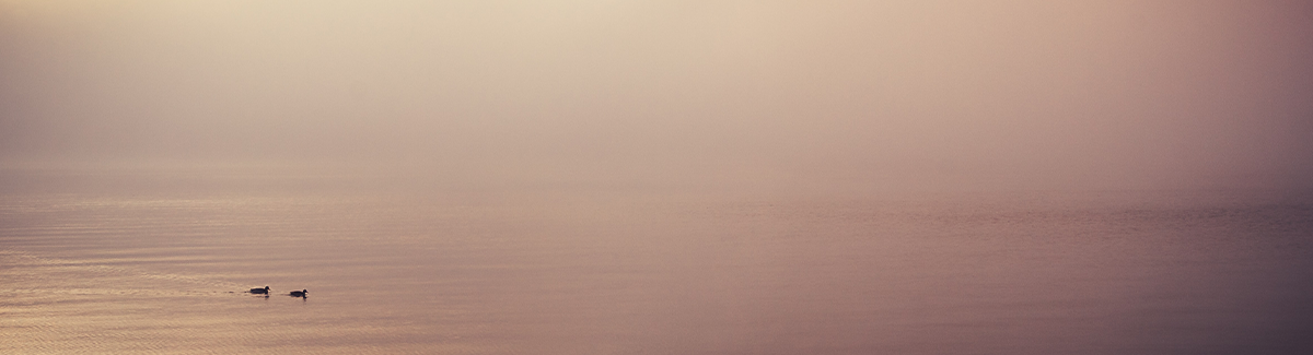 Building An Authentic Faith