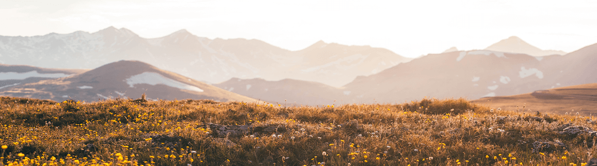 3 Reasons Not to Skip the Kings and Prophets