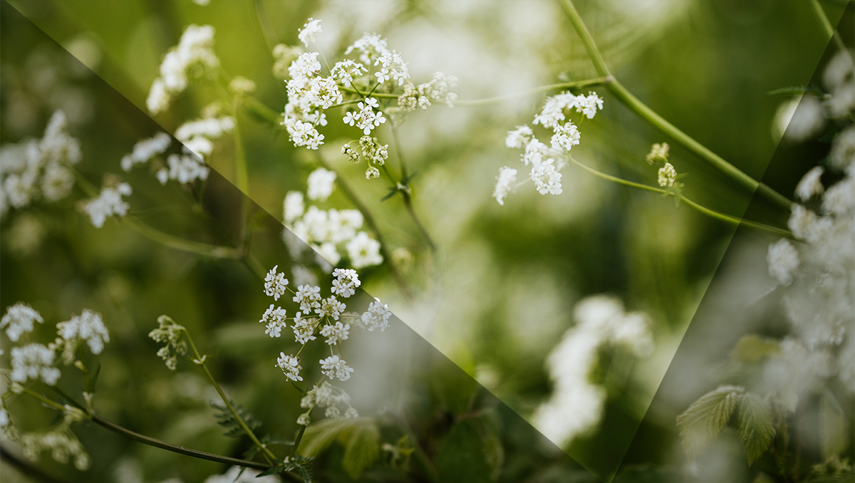 Where is God when your world is shattered? 