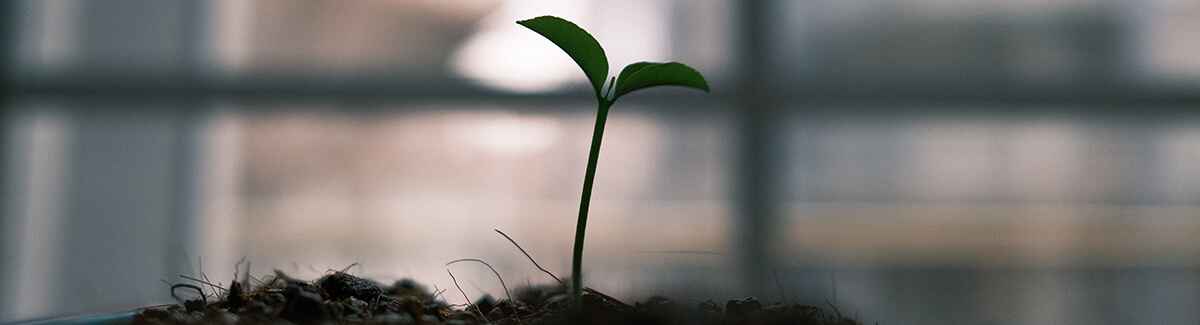 Sharing Faith with Family