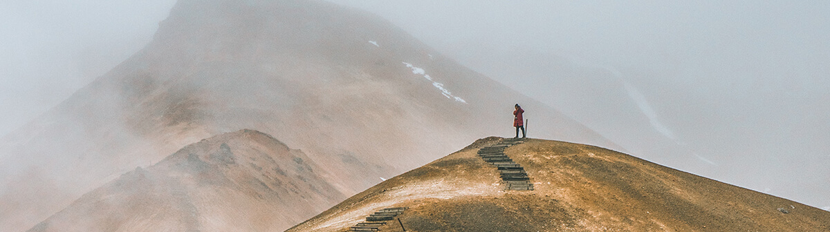 Responding to the Wilderness