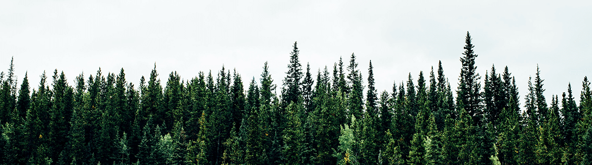 The Power of Humility